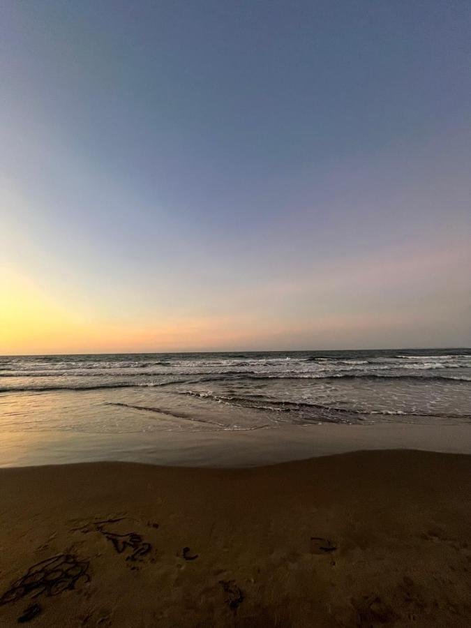 Exclusivo Frente Al Mar En Apartamento *